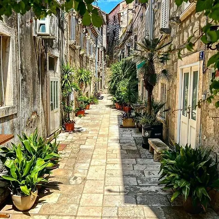 Ankica * 오레비츠